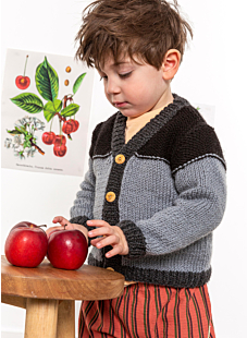 Driekleuren vest