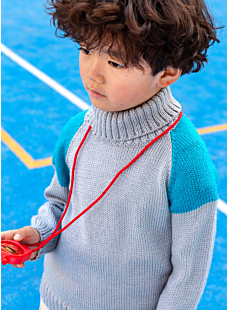 Tweekleurige raglan trui met col